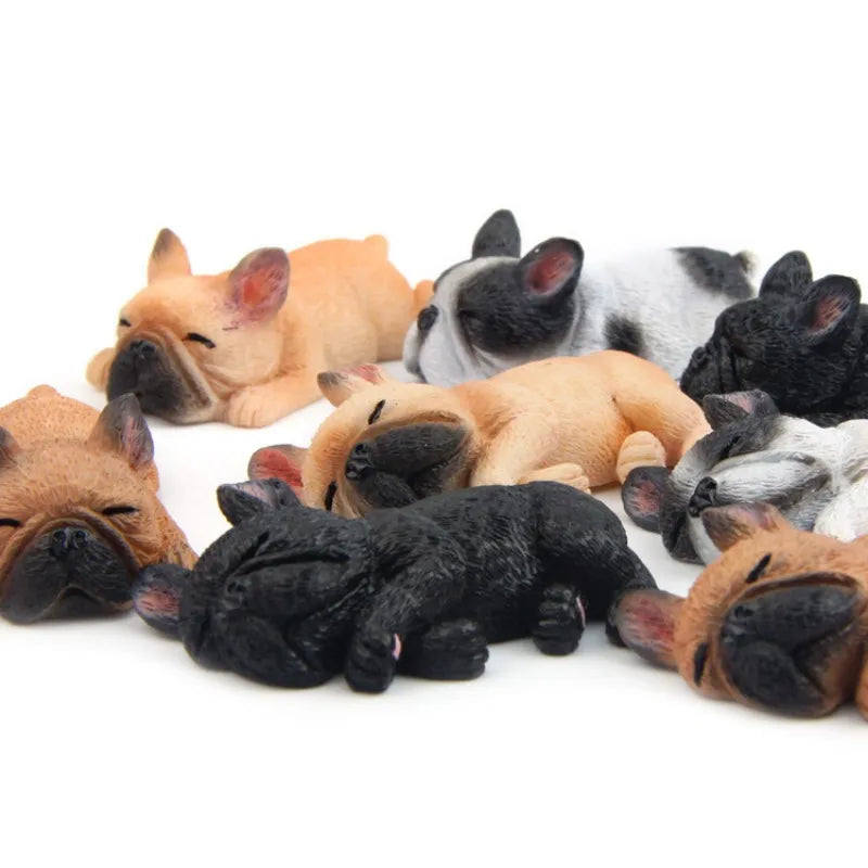 Mini sleeping pibble (frenchie)