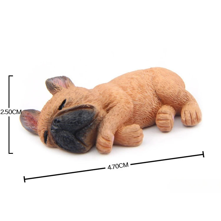 Mini sleeping pibble (frenchie)