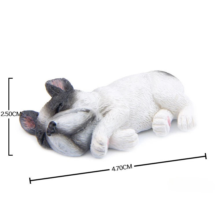 Mini sleeping pibble (frenchie)